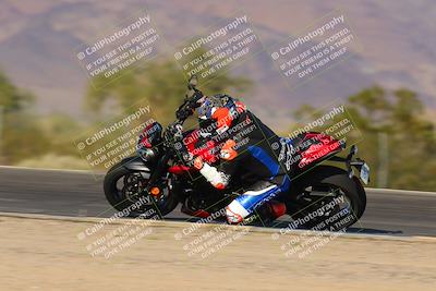 media/Nov-12-2023-SoCal Trackdays (Sun) [[5d1fba4e7d]]/Turn 3 Inside Speed Pans (135pm)/